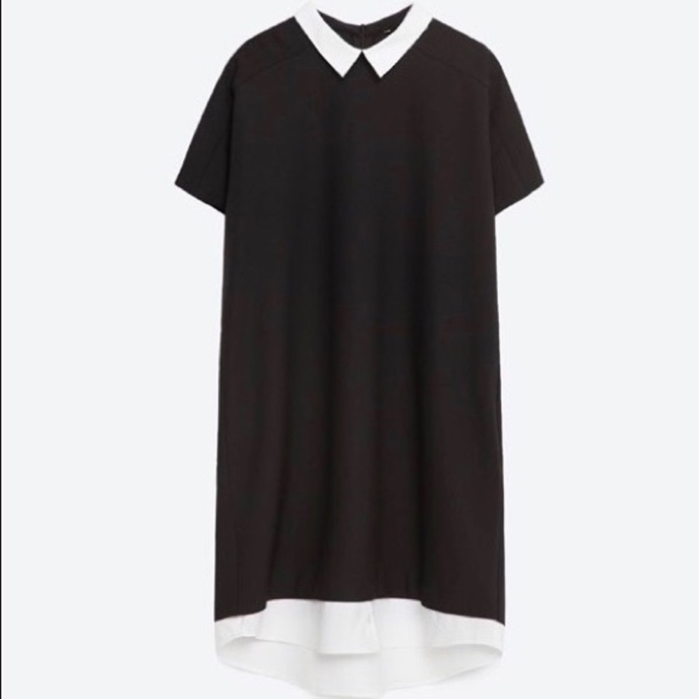 Zara Dress